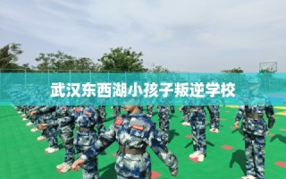 武汉东西湖小孩子叛逆学校