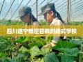 四川遂宁叛逆管教封闭式学校