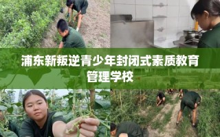 浦东新叛逆青少年封闭式素质教育管理学校