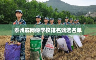 泰州戒网瘾学校排名甄选名单