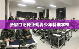 张家口阳原正规青少年特训学校