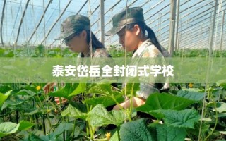 泰安岱岳全封闭式学校