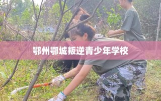 鄂州鄂城叛逆青少年学校