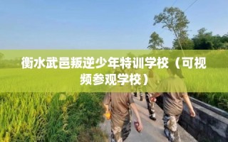 衡水武邑叛逆少年特训学校（可视频参观学校）