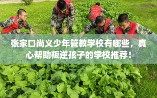 张家口尚义少年管教学校有哪些，真心帮助叛逆孩子的学校推荐！