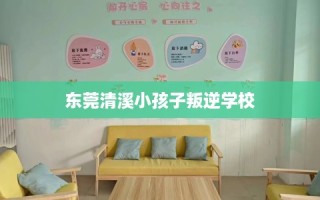 东莞清溪小孩子叛逆学校