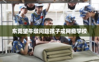东莞望牛墩问题孩子戒网瘾学校