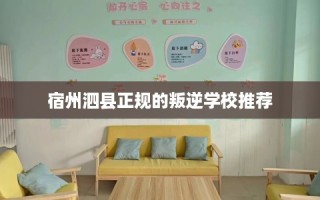 宿州泗县正规的叛逆学校推荐