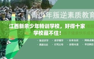 江西新余少年特训学校，好得十家学校藏不住！