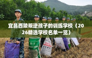 宜昌西陵叛逆孩子的训练学校（2026精选学校名单一览）