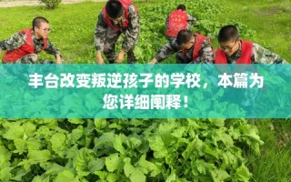 丰台改变叛逆孩子的学校，本篇为您详细阐释！