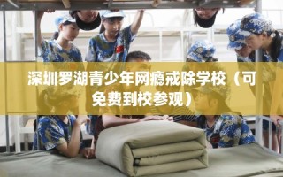 深圳罗湖青少年网瘾戒除学校（可免费到校参观）