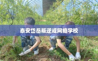 泰安岱岳叛逆戒网瘾学校