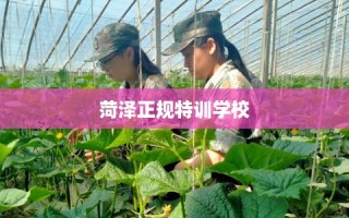 菏泽正规特训学校