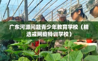 广东河源问题青少年教育学校（精选戒网瘾特训学校）