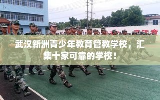 武汉新洲青少年教育管教学校，汇集十家可靠的学校！