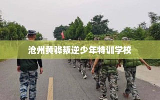沧州黄骅叛逆少年特训学校