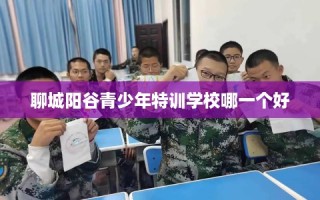 聊城阳谷青少年特训学校哪一个好
