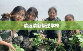 清远清新叛逆学校