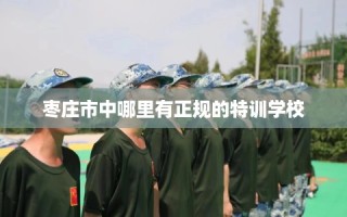 枣庄市中哪里有正规的特训学校