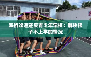 双桥改造逆反青少年学校：解决孩子不上学的情况