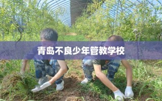 青岛不良少年管教学校