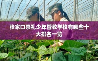 张家口崇礼少年管教学校有哪些十大排名一览