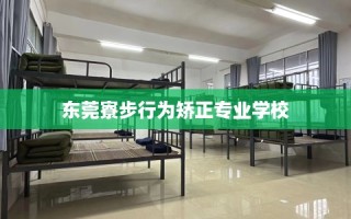 东莞寮步行为矫正专业学校