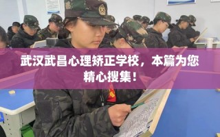 武汉武昌心理矫正学校，本篇为您精心搜集！