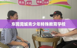 东莞莞城青少年特殊教育学校