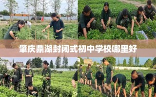 肇庆鼎湖封闭式初中学校哪里好