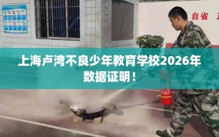 上海卢湾不良少年教育学校2026年数据证明！