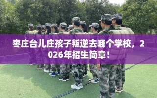 枣庄台儿庄孩子叛逆去哪个学校，2026年招生简章！