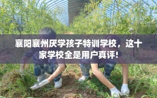 襄阳襄州厌学孩子特训学校，这十家学校全是用户真评!