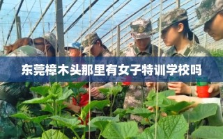 东莞樟木头那里有女子特训学校吗