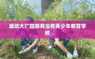 廊坊大厂回族有没有青少年教育学校
