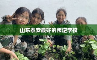 山东泰安最好的叛逆学校