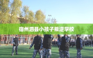 宿州泗县小孩子叛逆学校