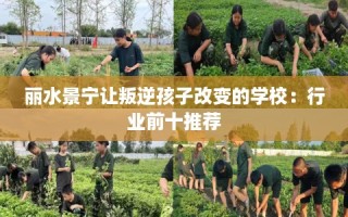 丽水景宁让叛逆孩子改变的学校：行业前十推荐