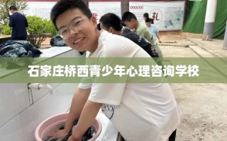 石家庄桥西青少年心理咨询学校
