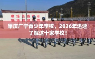 肇庆广宁青少年学校，2026年迅速了解这十家学校！