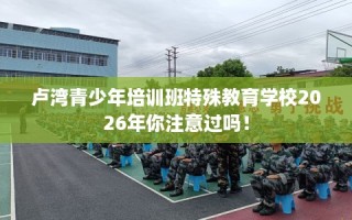 卢湾青少年培训班特殊教育学校2026年你注意过吗！