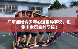 广东汕尾青少年心理辅导学校，汇集十家可靠的学校！