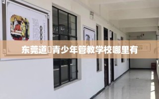 东莞道滘青少年管教学校哪里有