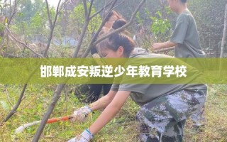邯郸成安叛逆少年教育学校
