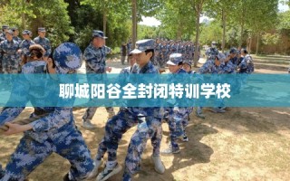 聊城阳谷全封闭特训学校