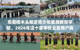 东莞樟木头叛逆青少年素质教育学校，2026年这十家学校全是用户真评!