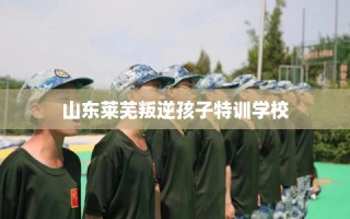 山东莱芜叛逆孩子特训学校