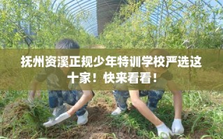抚州资溪正规少年特训学校严选这十家！快来看看！