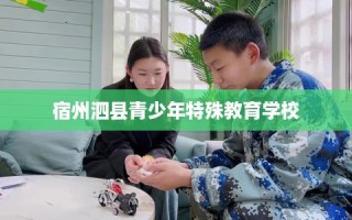 宿州泗县青少年特殊教育学校